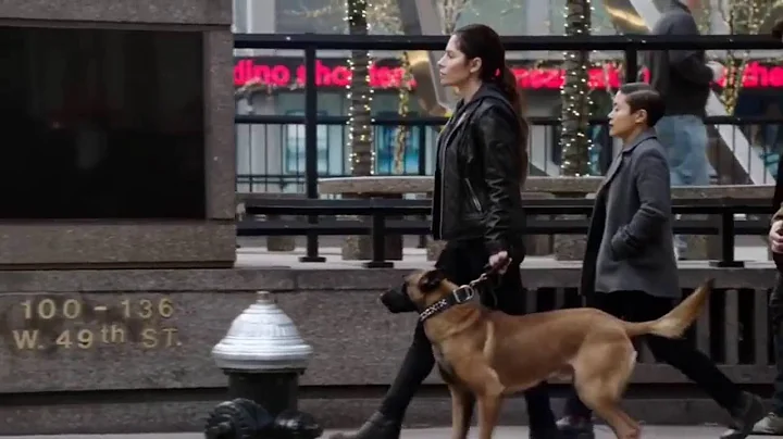 Shaw X Bear Tribute || "I'm just here for the dog" .