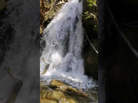 وادي راجب عجلون من أجمل الاوديه بلاردن