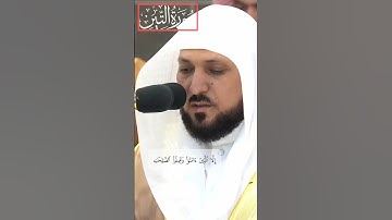 ماهر المعيقلي|Maher Al-Mu'aiqly|سورة التين|Surat At-Tin