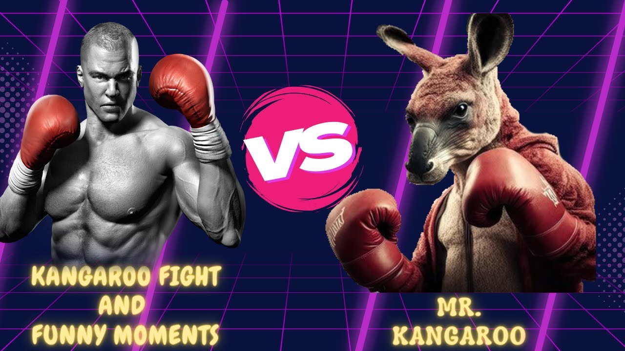 Kangaroo Boxing Fight Kangaroo vs Man Funny Moment Kangaroo Attack