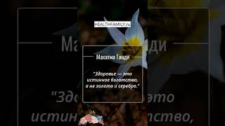 Главное сокровище жизни💚 #здоровье #здоровыйобразжизни #здоровьенекупишь #здоровьетела #зож
