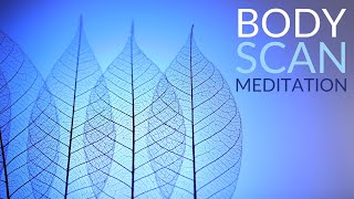 Bone Melting Skeletal Body Scan Meditation