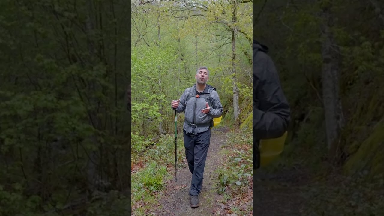 Descubre la maravilla de la Reserva Natural Integral de Muniellos! 🌿