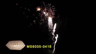 MS6005 0416