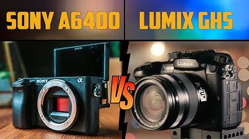 Sony a6400 Review by Panasonic GH5 User