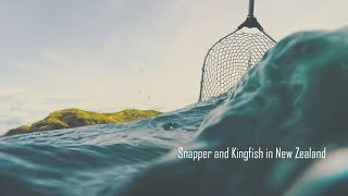 Kingfish On Snapper Tackle With Rudi Browning Best Drone Flyer In The World In New Zealand