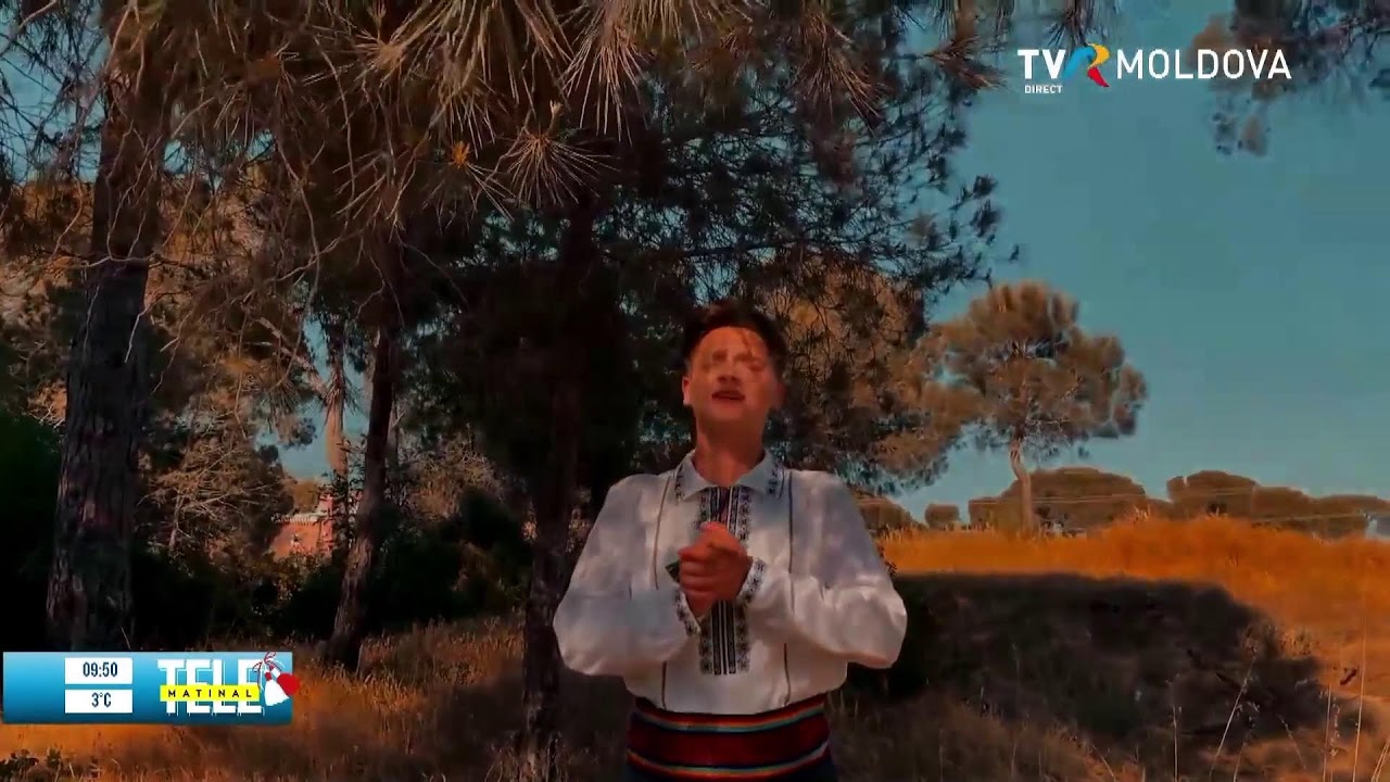 Telematinal/17.03.2025