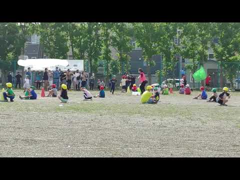 こなつの運動会【リレー】