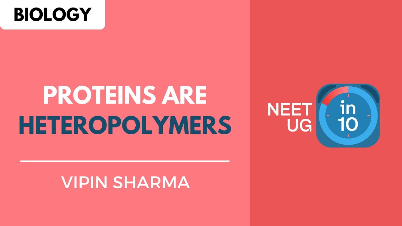 Proteins are Heteropolymers NEET Biology NEET UG in 10 YouTube
