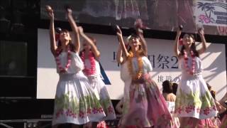 【2016年 早稲田祭 E Hihiwai 】