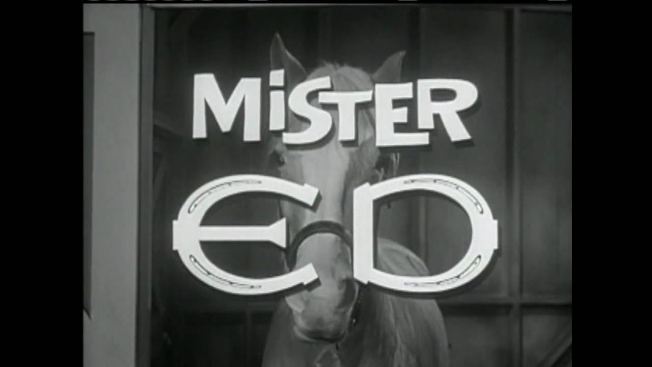 Mr Ed Theme