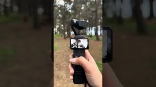 Yürüyüş arasında çekim molası ✨ #dji #osmopocket #viral #fyp #shorts