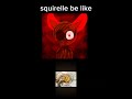 SQUIRREL بإختصار