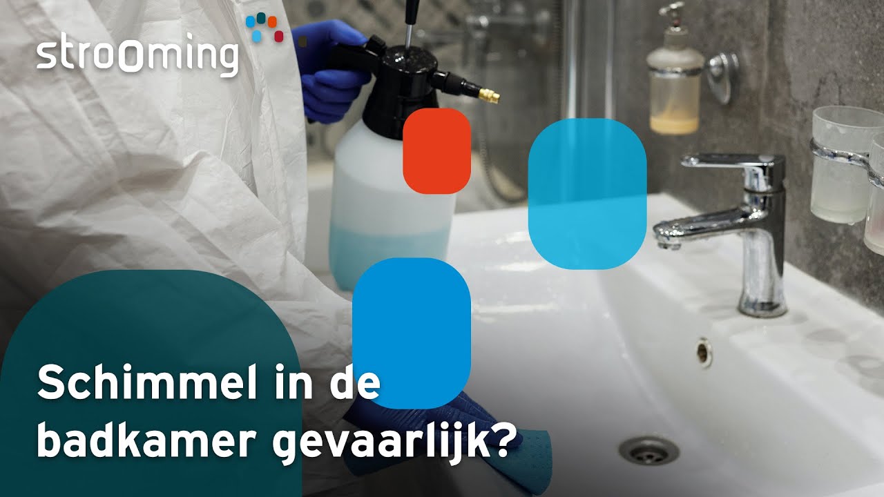 Zwarte Schimmel In De Badkamer! - YouTube