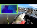 How to LiveScope #BigCrappie - Step by Step (MUST KNOW Technique!)