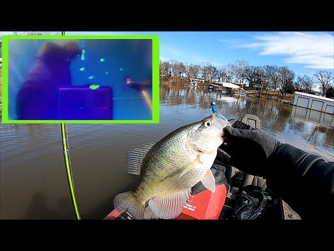 Download How to LiveScope #BigCrappie - Step by Step (MUST KNOW Technique!)