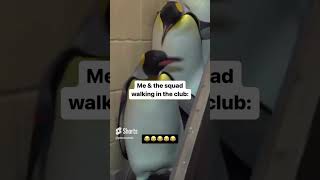 In The Club 🐧 #Dance #Shorts #Memes #Viral #Shortsvideo #Shorts #Music #Housemusic #Techhouse #Fyp