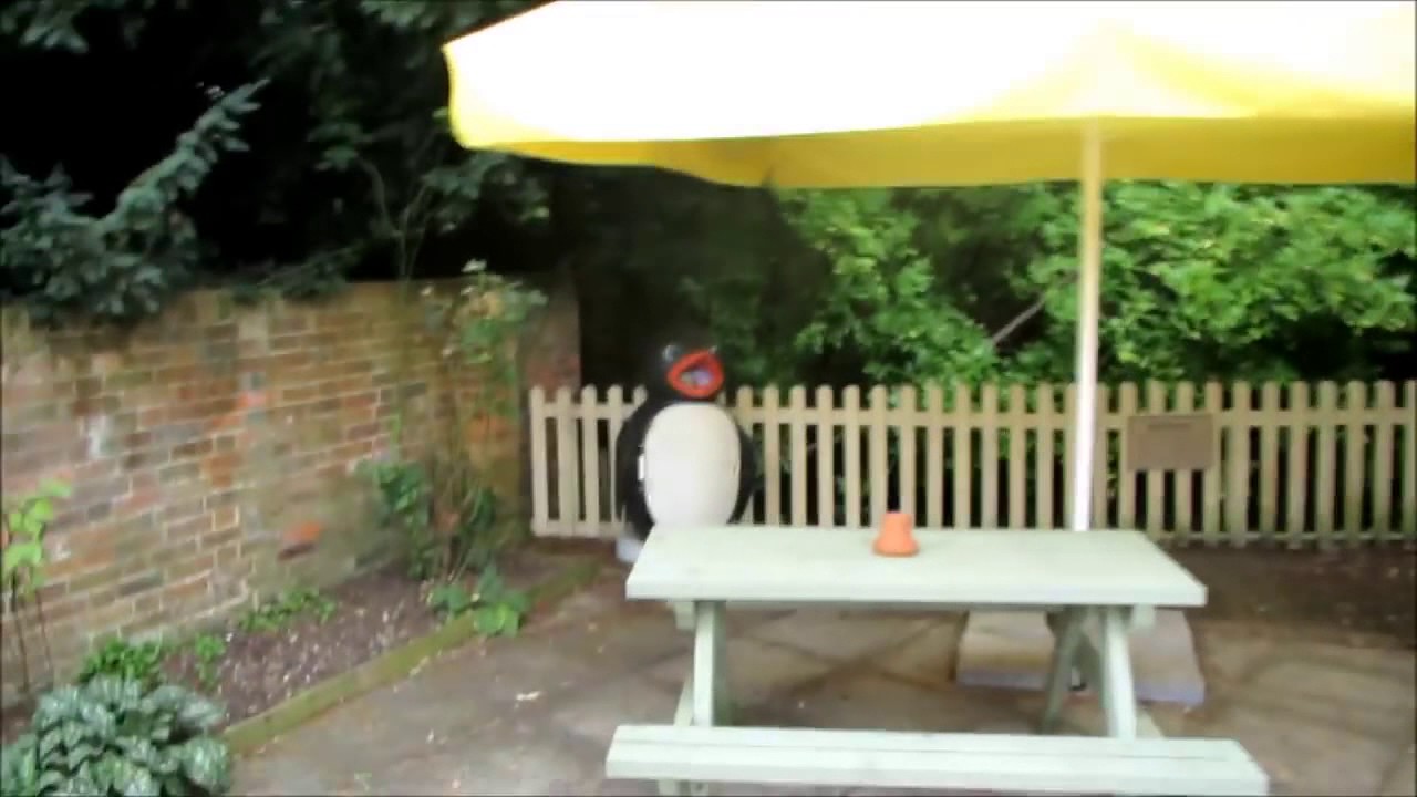 I have something very important to show you