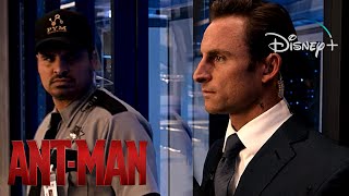 Ant-Man | Luis Punches Security Guard Scene | Disney+ [2015]