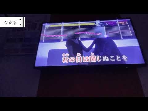 左右盲　男子大学生が歌ってみた　原キー