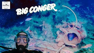 видео: Этот старый затонувший корабль был ПОЛОН РЫБЫ! И нырять там с аквалангом было одно удовольствие |... картинка: Этот старый затонувший корабль был ПОЛОН РЫБЫ! И нырять там с аквалангом было одно удовольствие |...