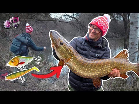 Big Winter Pike on Lures Made EASY | The Pike Lure Setup You Need with Nick Marsh thumbnail
