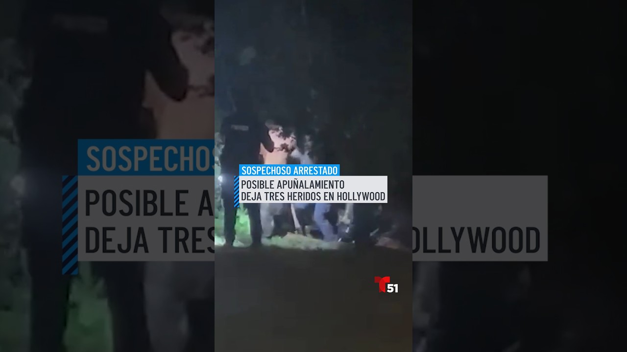 ¡Atrapado en el agua! Arrestan a sospechoso de apuñalamiento en Hollywood