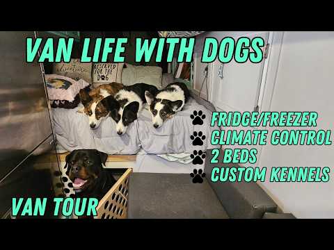 VAN TOUR: BUILT FOR THE DOGS