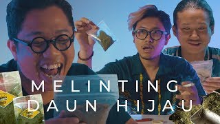 Download lagu Mencoba Melinting Daun Hijau Untuk Pertama Kalinya TAPI BOLEH DICOBA Mencoba Melinting Daun Hijau Untuk Pertama Kalinya TAPI BOLEH DICOBA