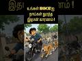 பைக்கை ஏன் நாய்கள் துரத்துகின்றன? Dogs chasing bikes reason #dog#dogs#sans#dogvideos#dogtips#dogcare