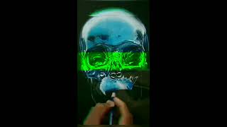 Blue Chrome Skull Pencil Color Drawing