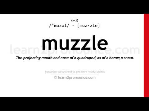 Pronunciation of Muzzle | Definition of Muzzle