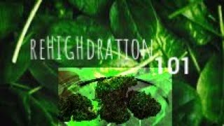 Re-HIGHdration 101