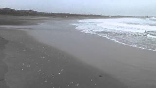 14:35/Thur/11/Sep/2014 TaitoBeach(banks)WaveInfo by asp-tany.com