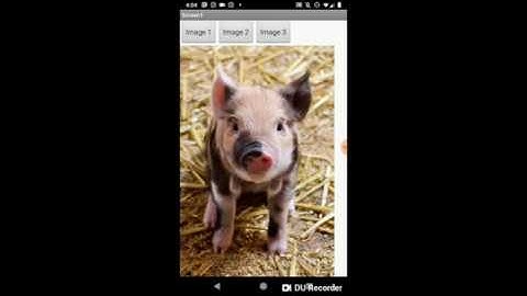 App Inventor Photo Gallery Tutorial