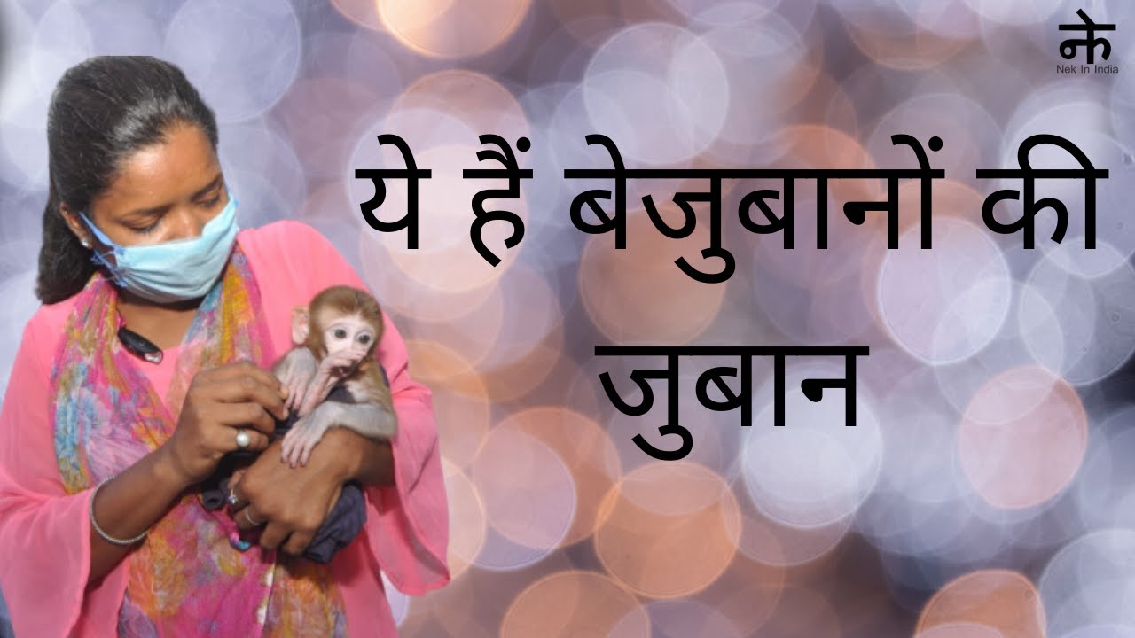 एक Animal Lover की Inspiring Story | Positive News PodCast | Nekinindia