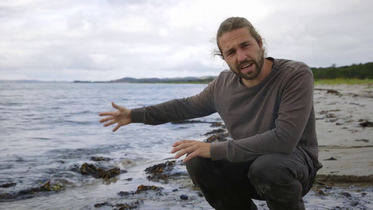 99 arter at se før du bliver voksen: ÅL