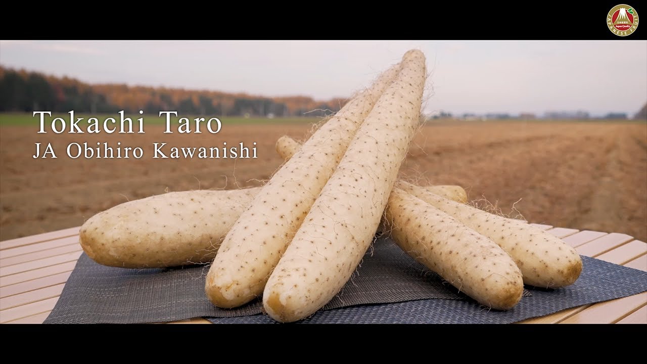 The Journey of Japanese Yams JA Obihiro Kawanishi YouTube