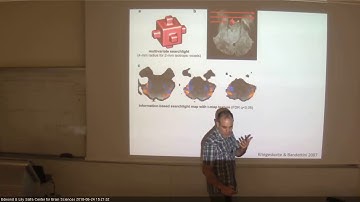 Uncovering principles of human vision using fMRI 24062018