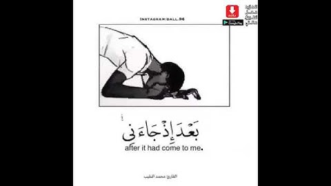 حالات واتس،، قران كريم،، يوم يعض الظالم على يديه بصوت محمد النقيب