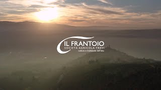 Il Frantoio - Spot