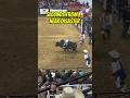 Seconds from diaster  rodeo bull riding cowboys bullriding