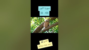 سورة النور 01-11: القارئ/محمد جواد سوالمة
