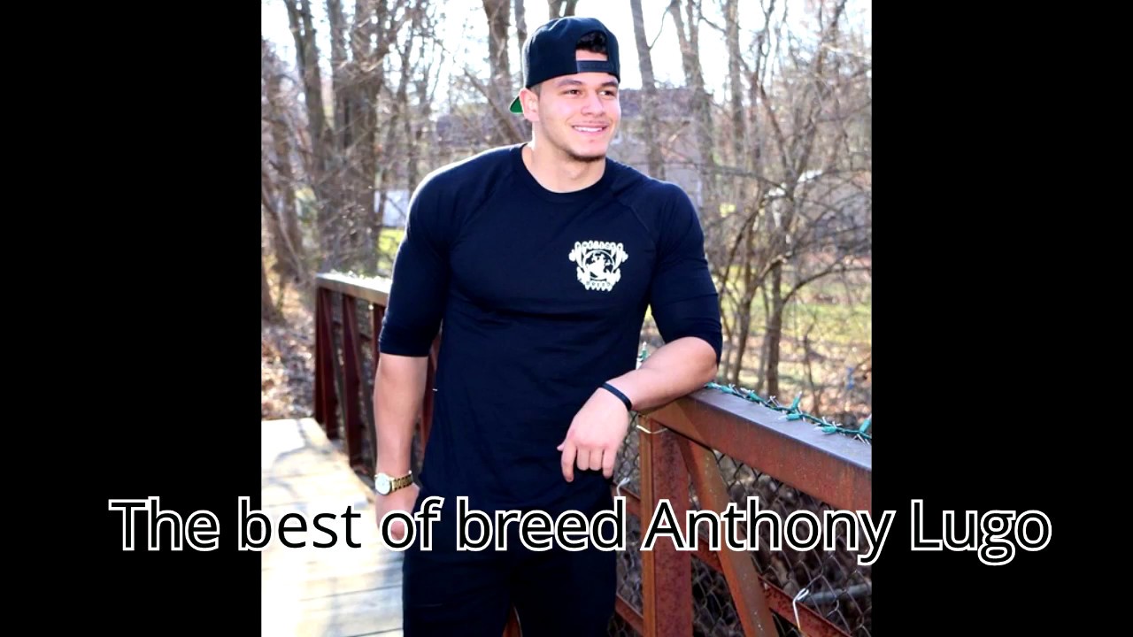 The best of breed Anthony Lugo