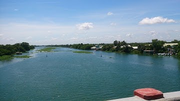 MGMienTay - HÁI RAU SÔNG ĂN CÁ LÓC NƯỚNG TRUI - SÔNG VÀM CỎ ĐÔNG