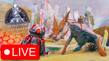 Hunting Element Veins and OSD