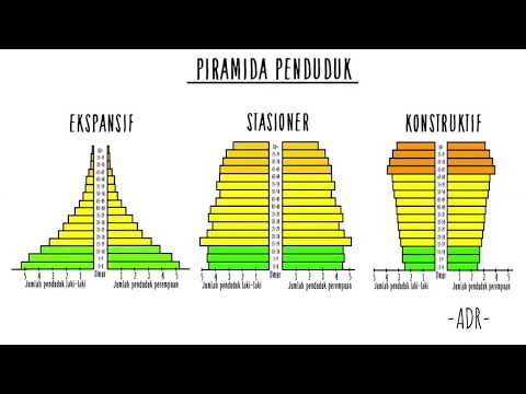 Video: Piramida usia: jenis dan jenis struktur usia