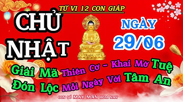 Tử Vi 29/06 Của 12 Con Giáp | Giải Mã Thiên Cơ Khai Mở Tuệ - Đón Lộc Mỗi Ngày Với TÂM AN!