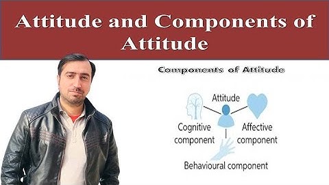 Attitude and Components of Attitude | Organizational Behavior