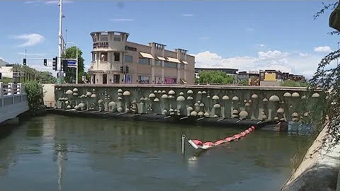 Body recovered from Scottsdale canal near where mi...
